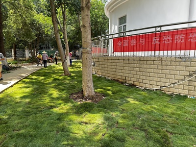 武汉经开区佳泰社区:花坛"微改造"改出幸福感