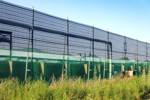 香江万基 环保大整改 有赞更有赚