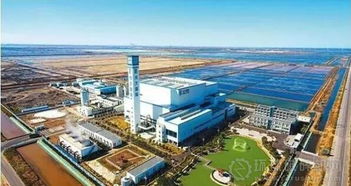 盐碱地上的园林式工厂 潍坊市垃圾焚烧发电项目