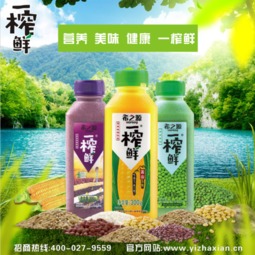 饮食要全面才营养 粗粮饮品更健康