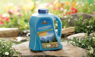 全球同步 让洗衣成为全家人的乐趣