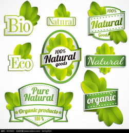 绿叶装饰的有机矢量图标eps素材免费下载 编号4035602 红动网