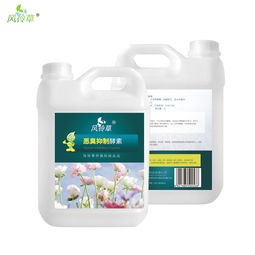 除醛净味产品 风铃草环保