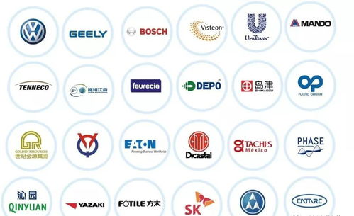 杭州湾新区做到了,她从一片荒无人烟的滩涂,变成了炙手可热的湾区新城